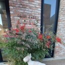 우리도자연예술가 | 이천도자예술마을