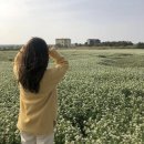 용수길 114 | 대평포구, 엄블랑, 제주 서쪽 자쿠지가 있는 감성숙소 한경면 용수길114펜션 에어비앤비내돈내산 솔직후기