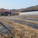 재호농장2 이미지