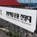 해오름 | 뚜벅이의 강릉 여행 방법 시티버스 타고 가볼 만한 곳