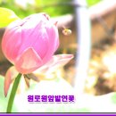 오늘도기쁨30