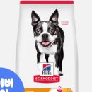 헤어힐스 - 전주시 덕진구 | 헤어힐스
