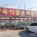 지금은다육시대