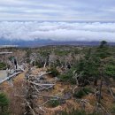 🏔 한라산 (백록담에서 관음사) 이미지