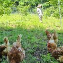 봄빛농장 이미지