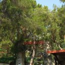 석관약국 | [5일차] 온라인투어 튀르키예 7박9일 여행 후기 및 꿀팁 / 파묵칼레 카트투어, 현지식 카이막, 폴랏서멀...