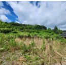 미암면사무소 이미지