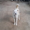 자룡농장 이미지