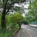 김유정 행장비 이미지