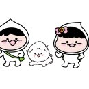 댕댕하개 이미지