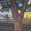 서현법무사사무소 이미지