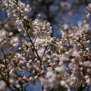 김천소방서(아포119안전센터) 이미지