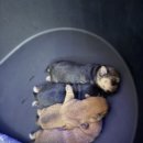 오픈주 하남스타필드점 이미지