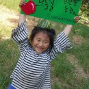 부엉이 농장 이미지