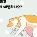 정든동물병원 이미지