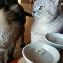 둘레길3코스민박 이미지