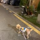 (주)도나고