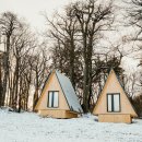 현대의료기사 이미지