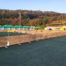 아트펫 갤러리 이미지