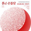 손톱이야기