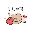 다고미고 이미지