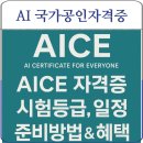 AI자격증 AICE 따라잡기 (초등) | AI 인공지능 활용능력 국가공인자격증 AICE 완전 정리: 시험등급, 일정, 준비방법, 취득 혜택