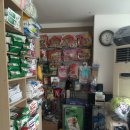 로하스일산병원 | 몰리의 중성화수술후기_일산 로하스 동물병원