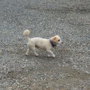 캠핑포유펜션 이미지