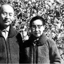 배민수 카카오 검색결과