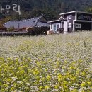돌다무락