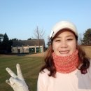 아이엠캐디
