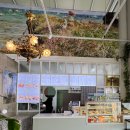 위드댕댕 이미지