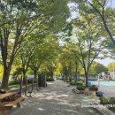 학운공원 축구장 옆 이미지