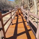 자생식물원 이미지