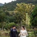 남해-236 | 남해 야외본식스냅 샤인웨딩과 유배문학관 후기 아티제스튜디오