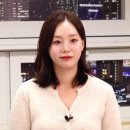 31 마이데일리