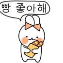 댄싱컵춘천우두점