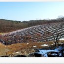 음지농장 이미지