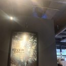 육회홀릭