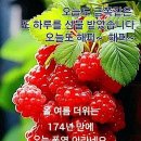 8/6일 여름의 마지막날 걷기(내일은 입추) 이미지