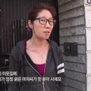 순간포착 세상에 이런 일이 이미지