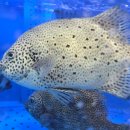 가락시장역 2번출구 이미지