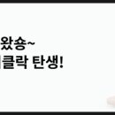 돈나와라 이미지