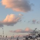 울진 돈치킨 이미지