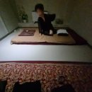 따봉종합정비 이미지