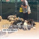 [대구근교 아이와 가볼만한곳] 시간제한 없는 석적 하루체험농장 외부음식 반입까지 기분좋은후기