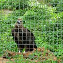 (주)부경럭키 | 청주동물원_청주랜드 할인정보, 주차장 등