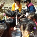 하늘숲어린이집 이미지