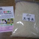호남미가