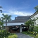 팜호텔 | [보홀] 사우스팜 엠갤러리 호텔 조식 식당 후기 (우마 , 만자)